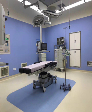 �������g(sh��)��